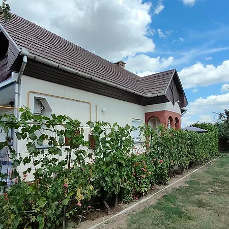 Guest house Silye Vendeghaz
