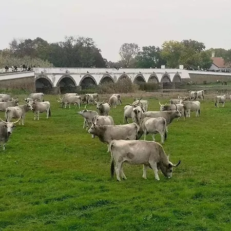 Silye Vendeghaz Maison d'hôtes